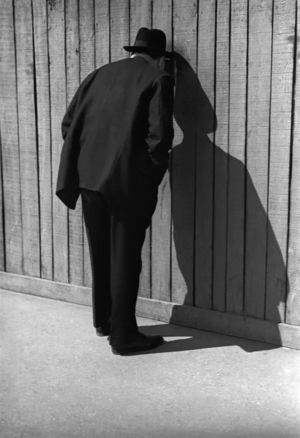 Fred Stein