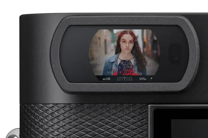 View through an electronic viewfinder