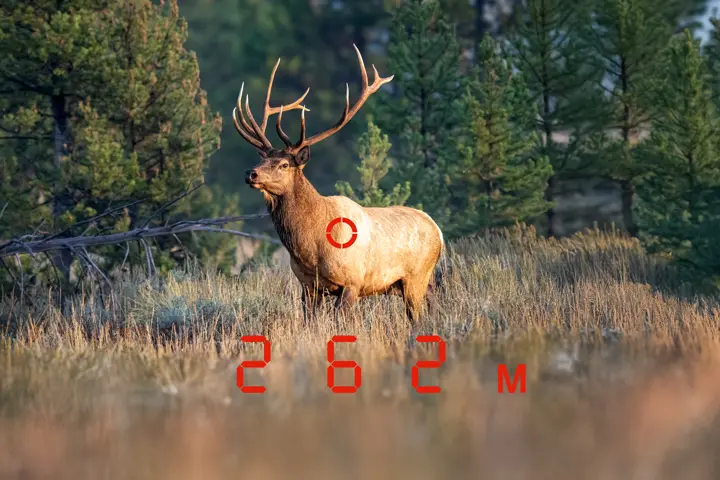 Elk with range distance