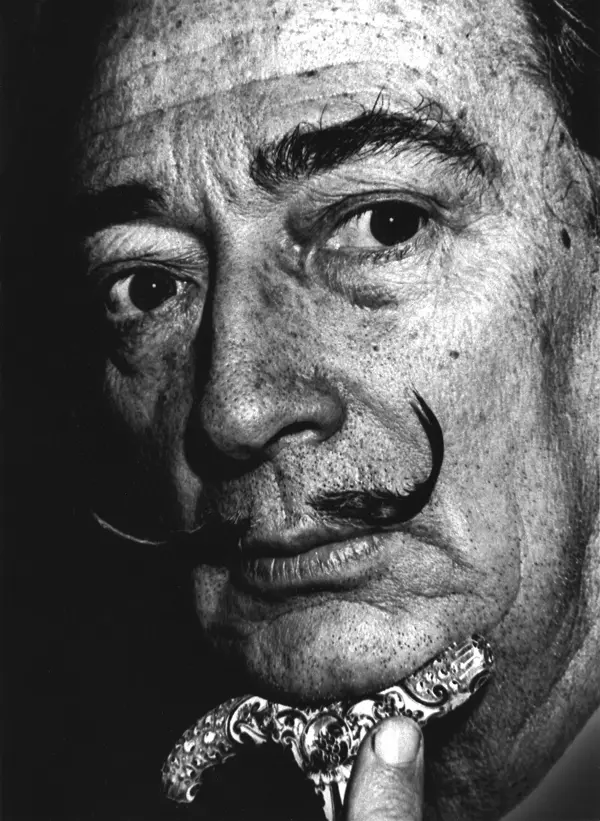 Fred Stein