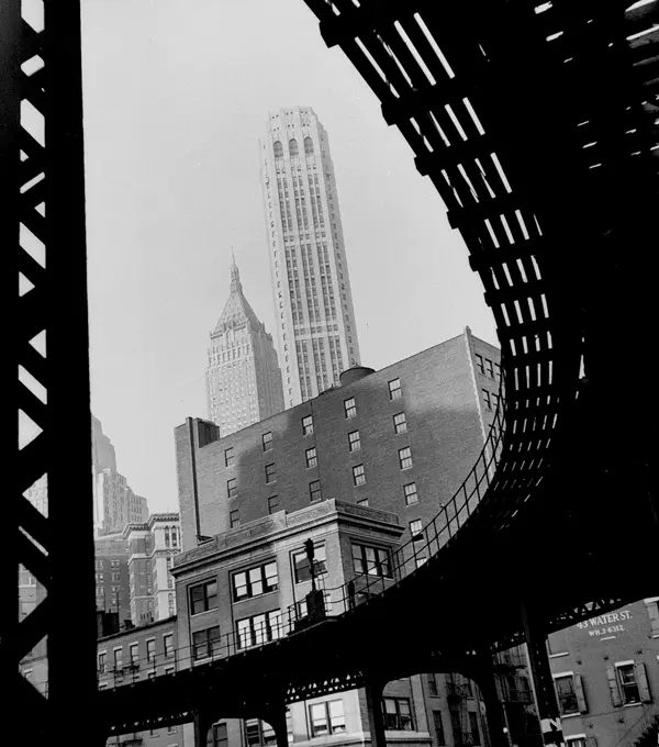 Fred Stein