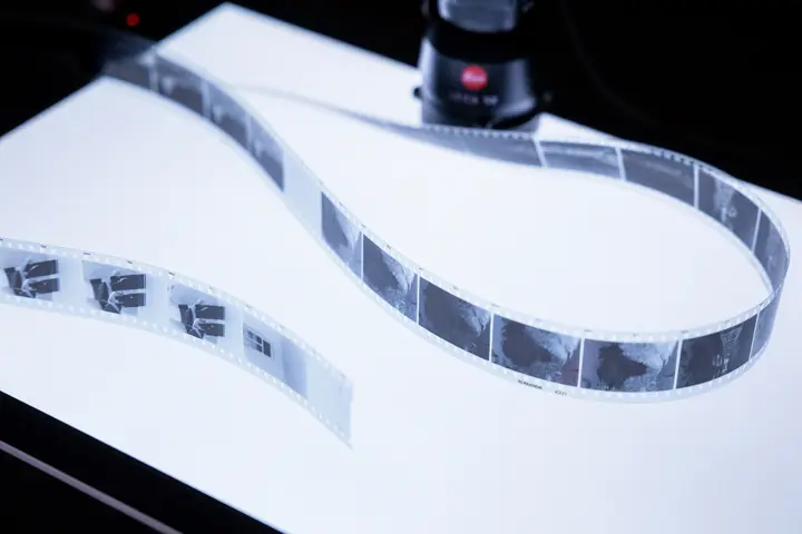 negative film on a light box