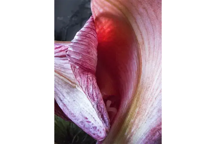 A flower inside.
