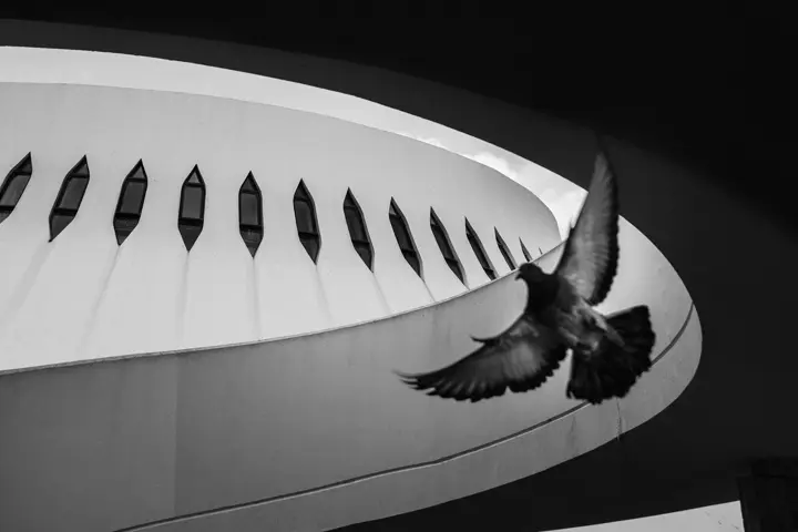 LCCH-FredMortagne-Piegon-Leica-Q3-Monochrom-3840x2560