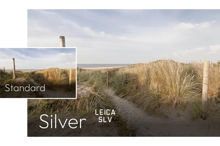 Example image Leica LOOK Silver: beach dunes with grass