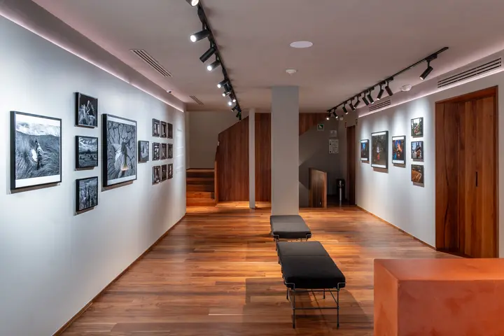Leica Store and Gallery Mexico City