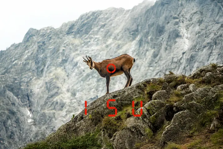 chamois with ballistic data