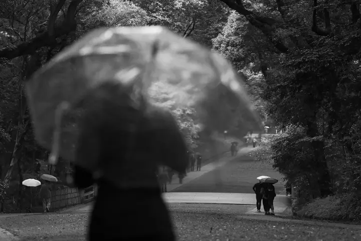 Man with umbrella in a large park