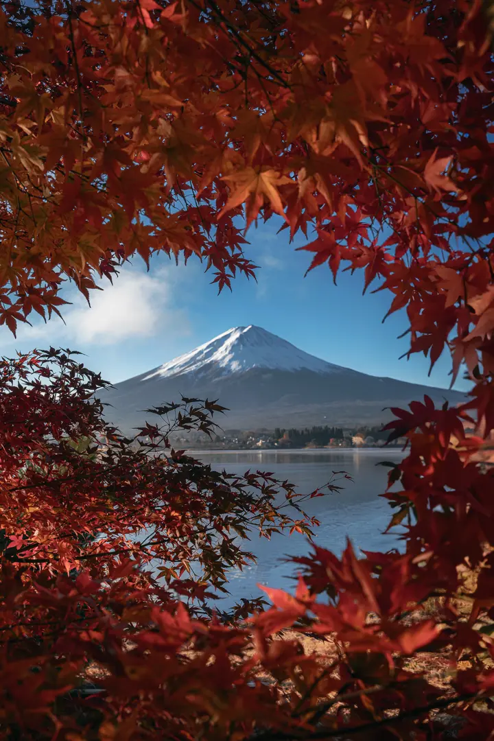 Mountain, Gallery Munich