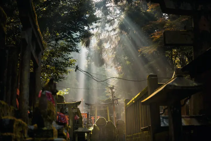 Wood, Gallery Munich