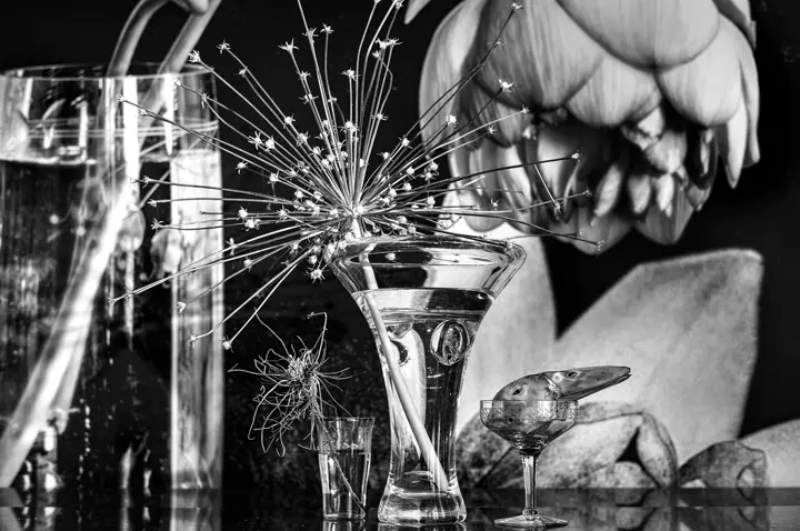 Still Life, Leica Gallery Stuttgart