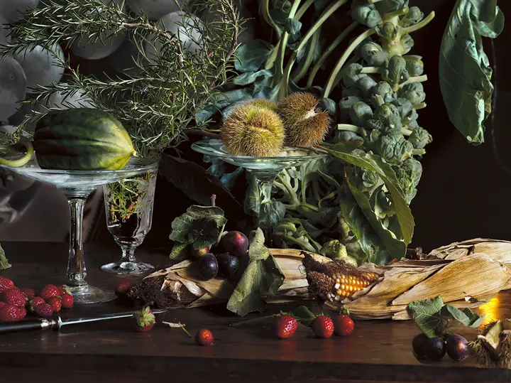 Still Life colour, Leica Gallery Stuttgart