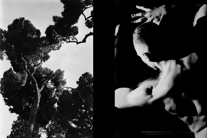 Naturaleza y bailarín