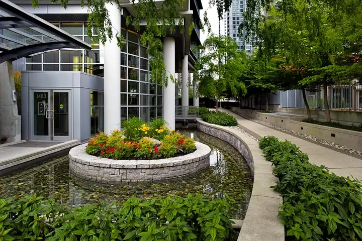 colorful flower pot in garden