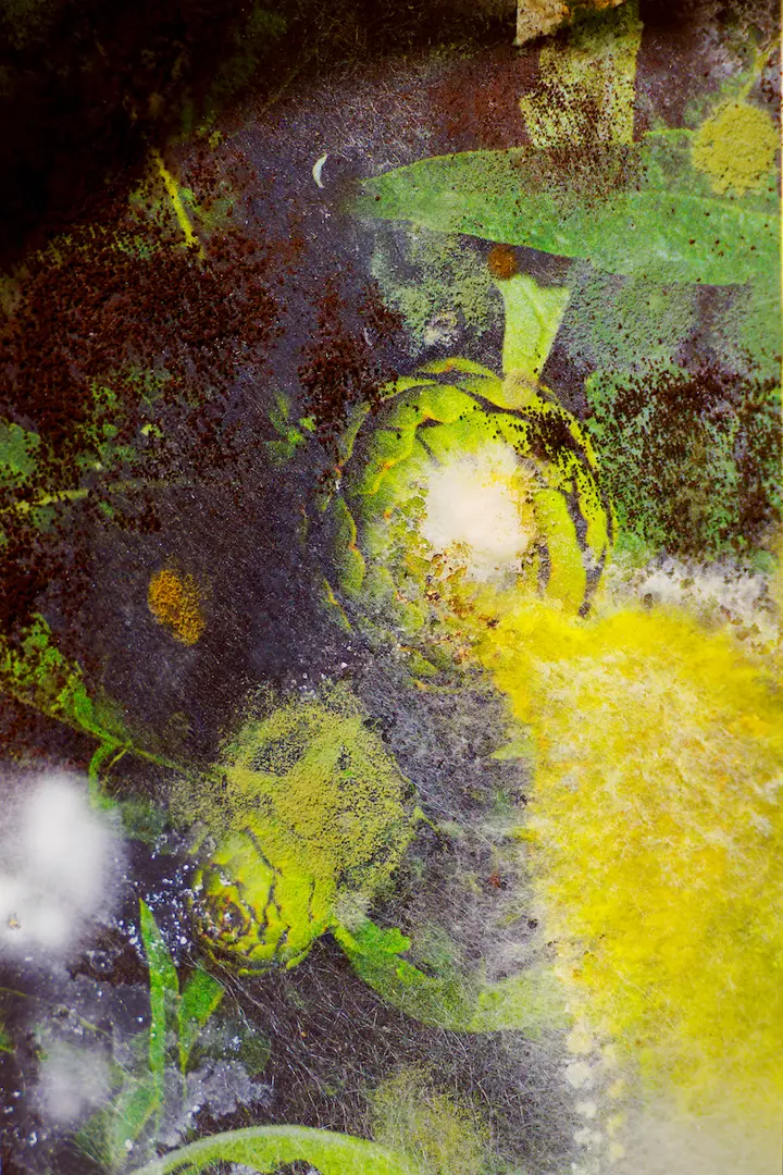 Zwischen Erde und Hoffnung