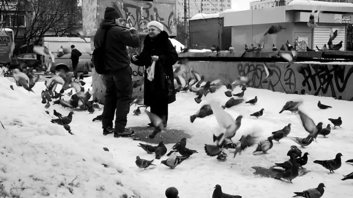 people and birds b&w