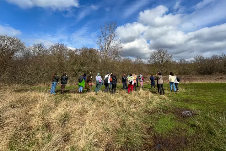Group of people watching birds