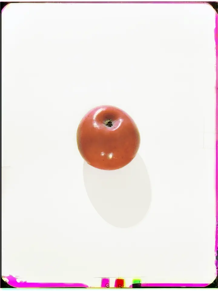 Roter Apfel, Leica Galerie Düsseldorf