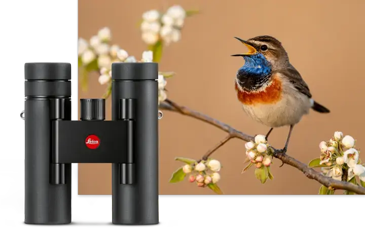 Bird with Leica Noctivid Compact in front