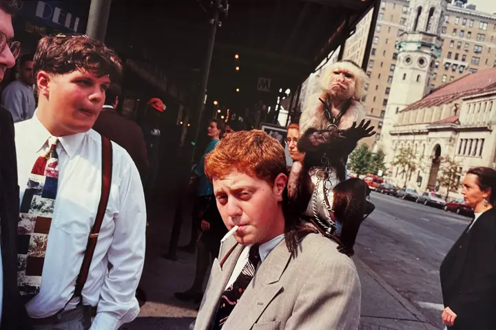 Street photo by Jeff Mermelstein with boys and a monkey