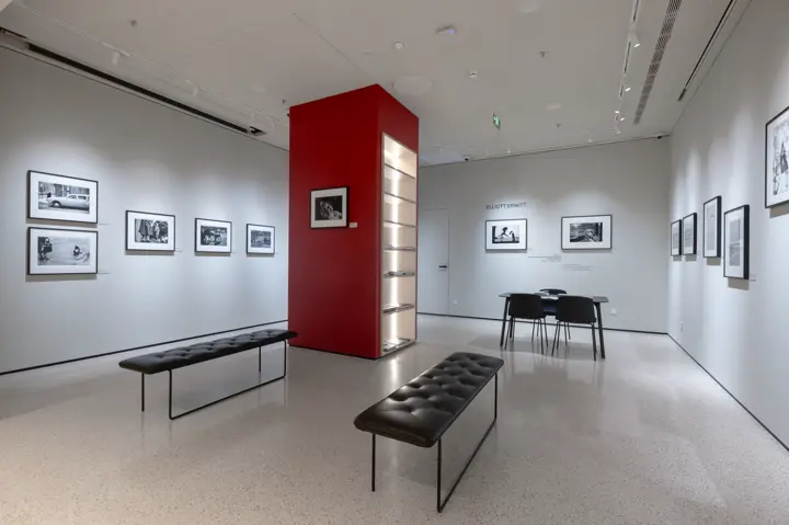 store gallery