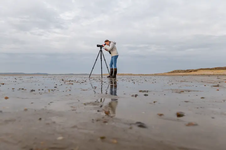 Woman is digiscoping in the wadden sea