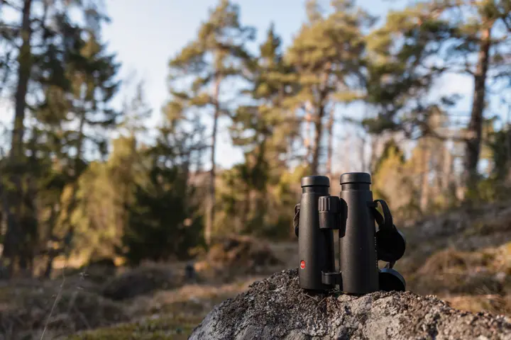 Colour photo of the Leica Noctivid on a rock surrounded by a forest
