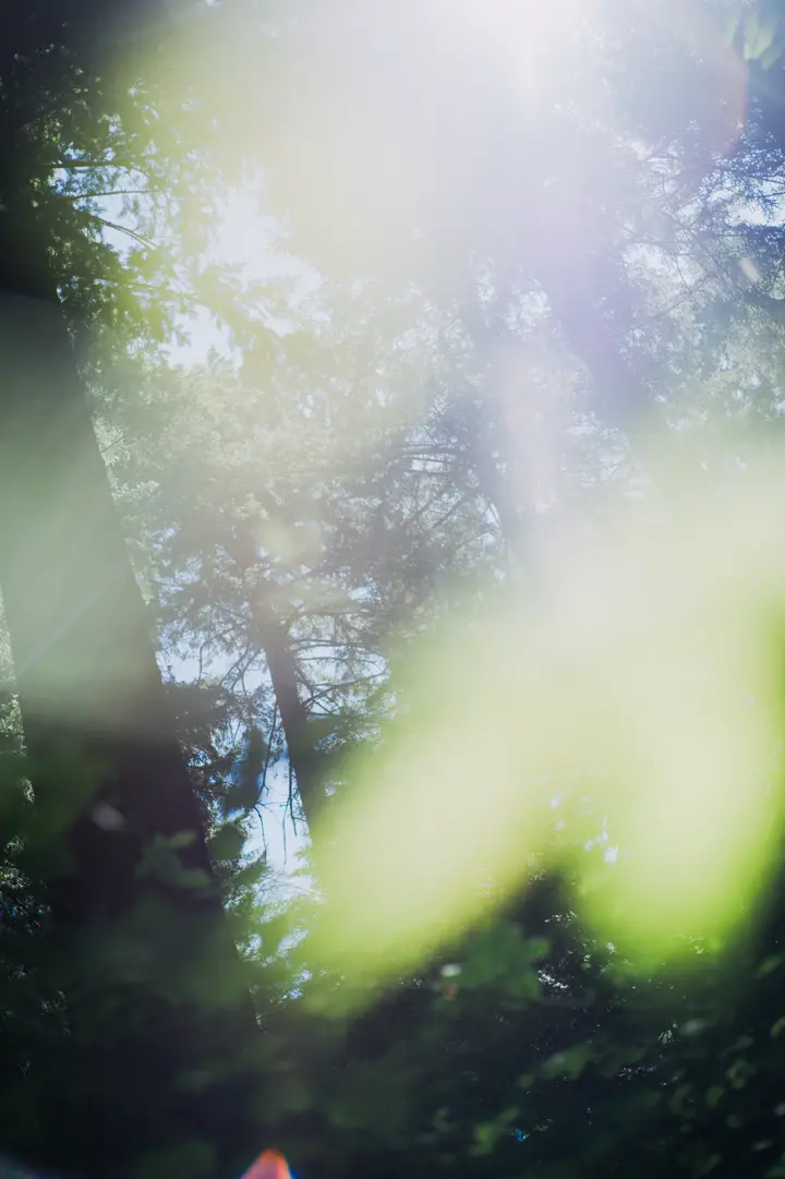 whats the matter by Kisshomaru-Shimamura at Leica Gallery Omotesando