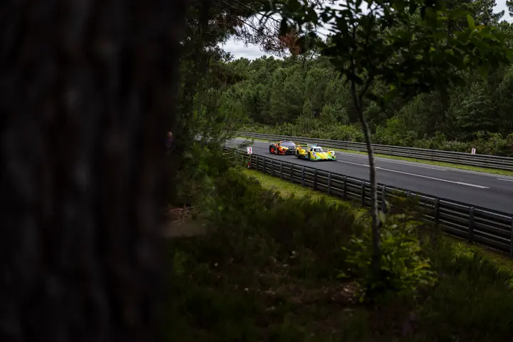 Racing 24 Hours Le Mans - view from the trees 2
