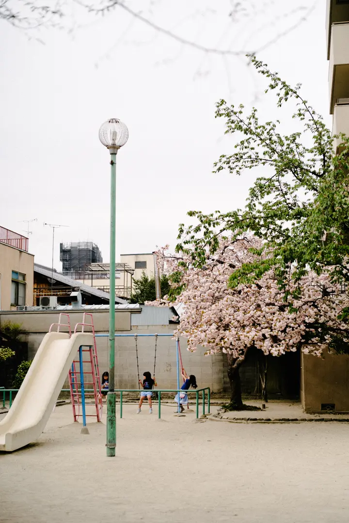 Children Playing in the Park