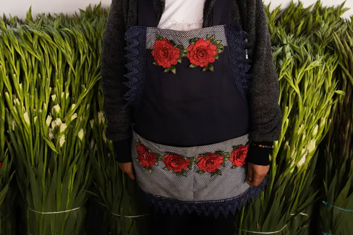 Flower market worker wearing a dark apron embroidered with red roses, standing among tall bundles of green flower stems in Mexico.