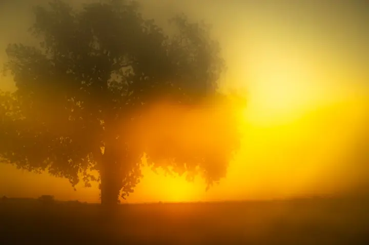 Hido Sun