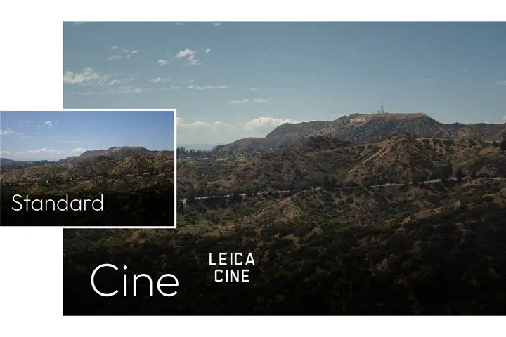 Coastal canal house with a wooden footbridge and kayak, captured with the Leica Cine look