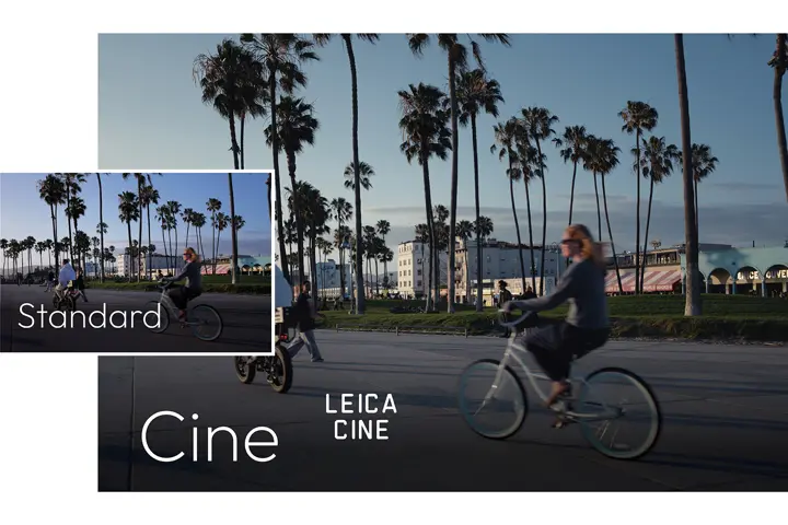 Palm-lined promenade with cyclists in motion, showcasing the Leica Cine photography look