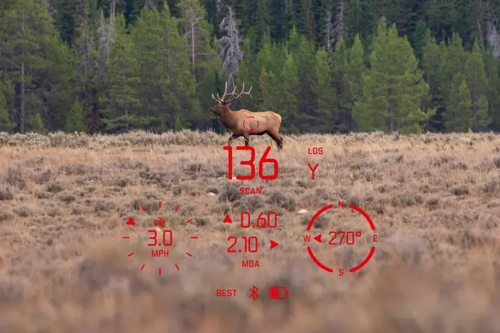 Stag-with-target-mark-of-the-Geovid-Max