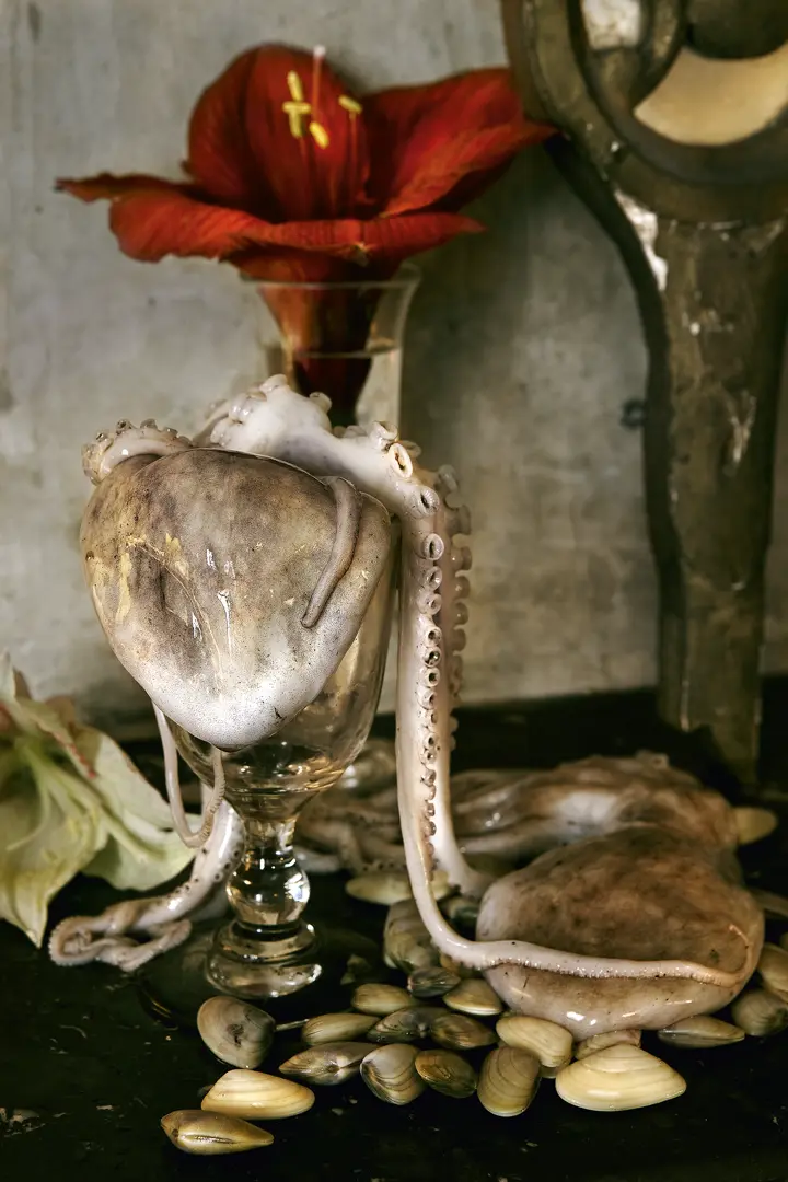 Hybiscus with Octopus, Omaha 2008