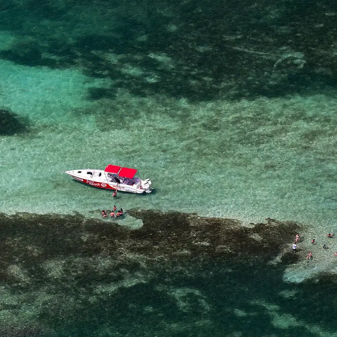 View from above of two boats and people in the water.