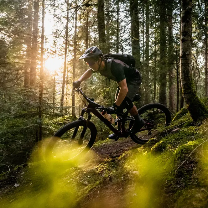 Man riding a mountain bike down a path in the woods on a sunny day.