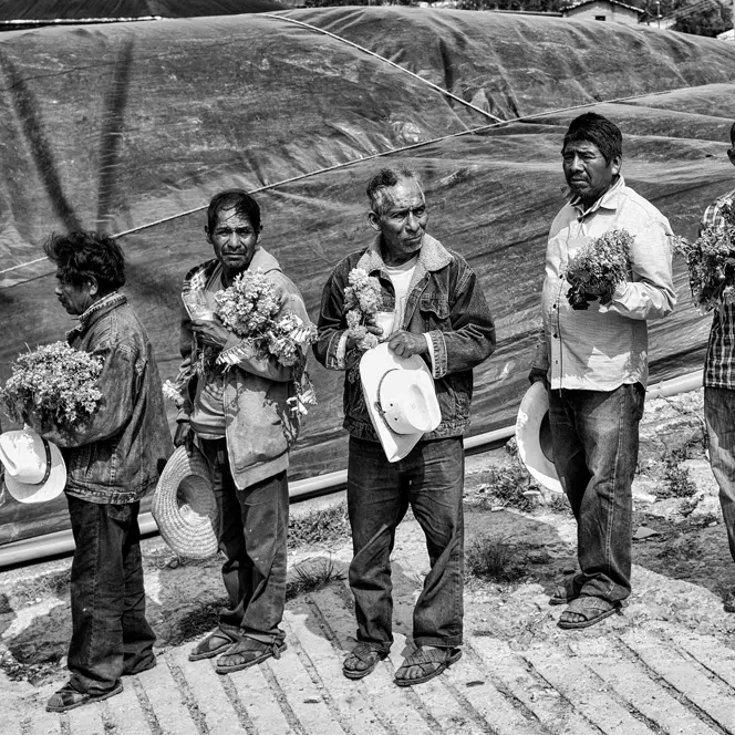 A group of men in traditional dress holding bouquets of flowers stand side by side