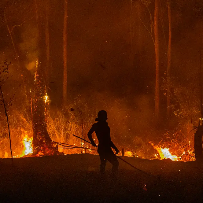 A firefighter stands in front of a fire in a dense forest at night.