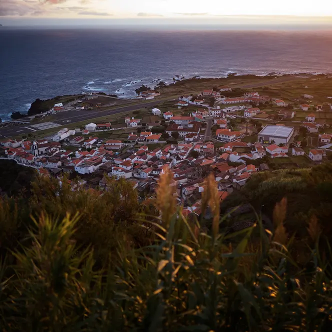 A small coastal village surrounded by green vegetation at sunset.