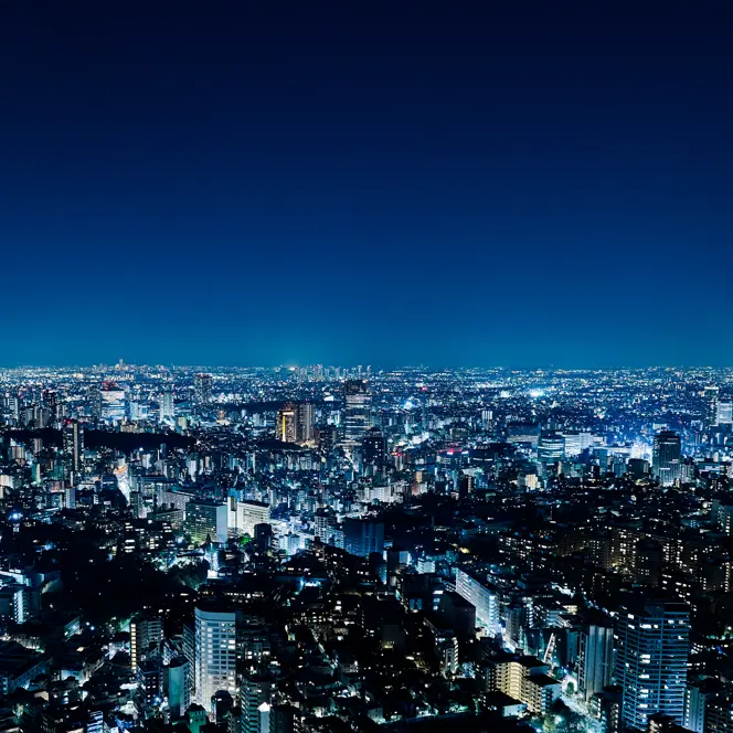 Panorama of an illuminated city at night. 