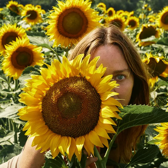Mary McCartney in the sunflower field