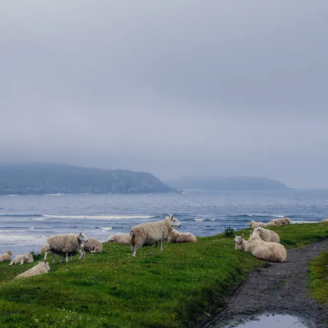 Calvin Courjon en Ecosse avec le D-LUX 8