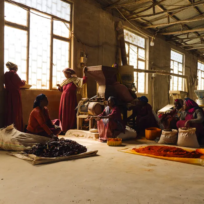 Work carried out by women at a managed spice mill in Ethiopia