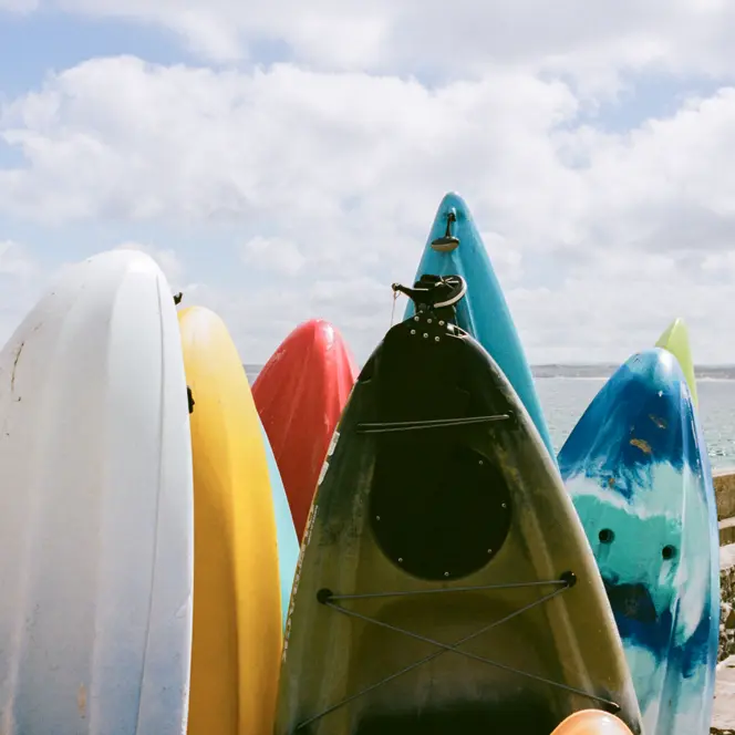 Colour image of surfboards by the seaside.
