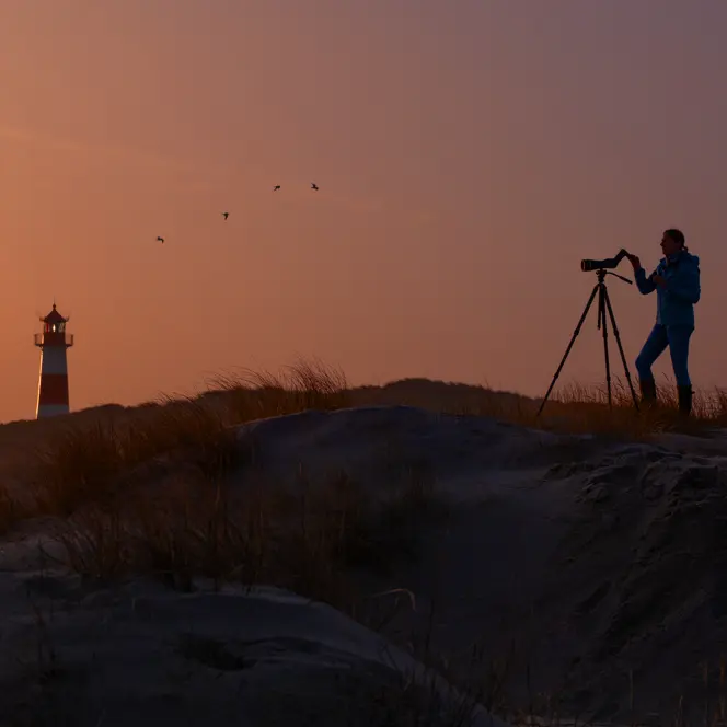 Woman is digiscoping in the sunrise