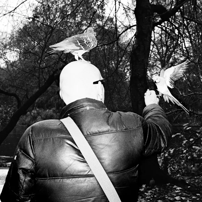 Black and White photo of man feeding birds in a park.