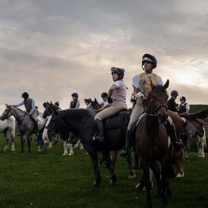 AA lot of riders on a meadow