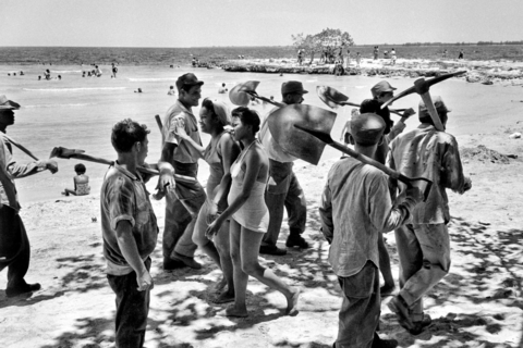 Digging trenches on Playa Larga, Cuba, 1962 © Miloň Novotný